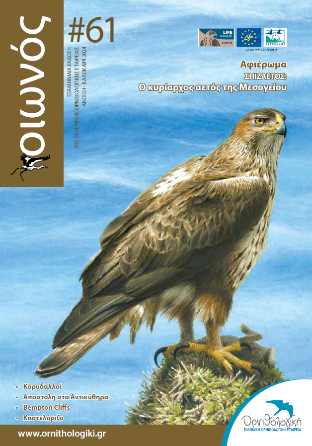 Cover Οιωνός61