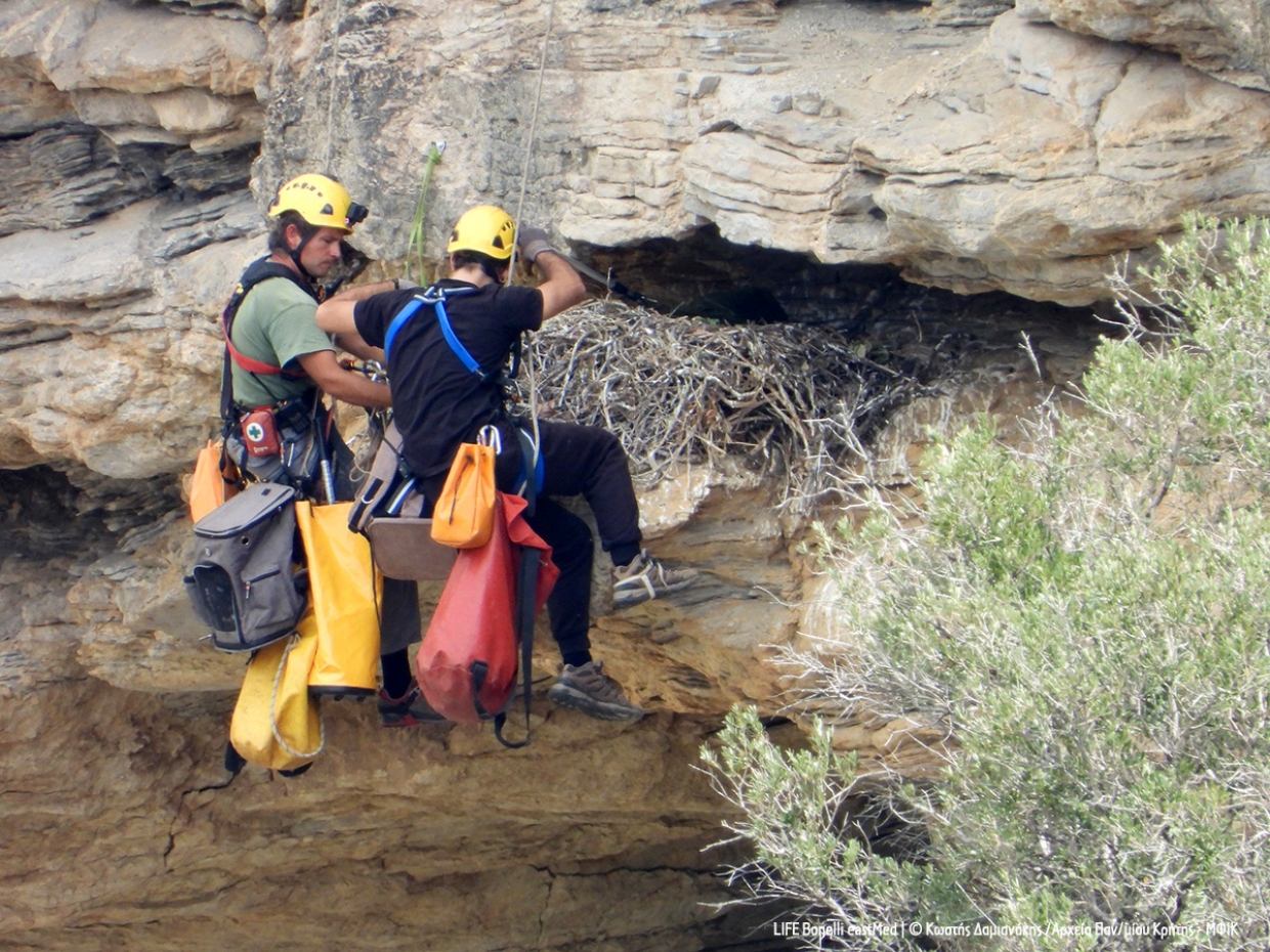 Descending to Bonelli&rsquo;s eagle nests in Greece