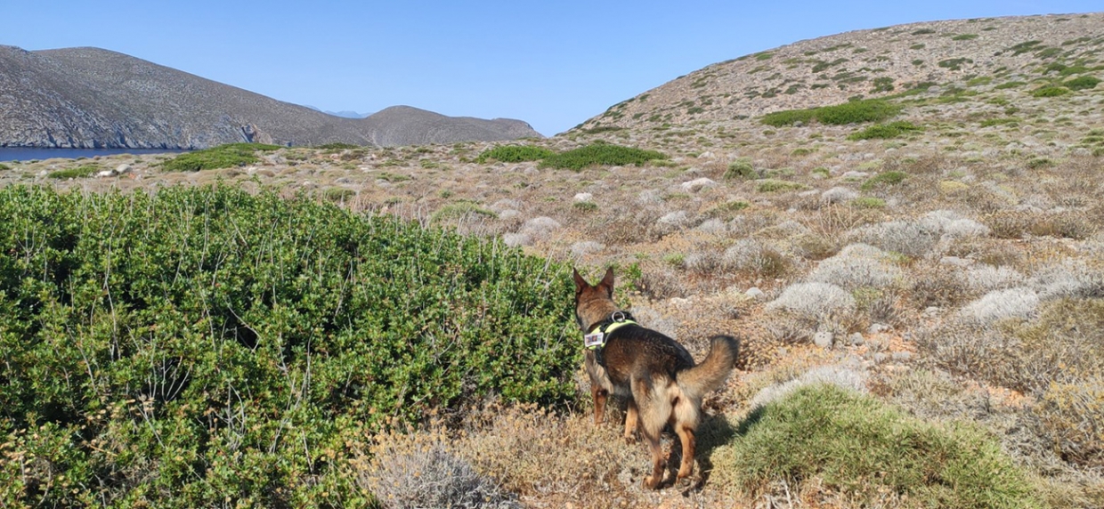 Patrolling of the Project Antipoison Dog Unit in Dionysades Islands, Crete