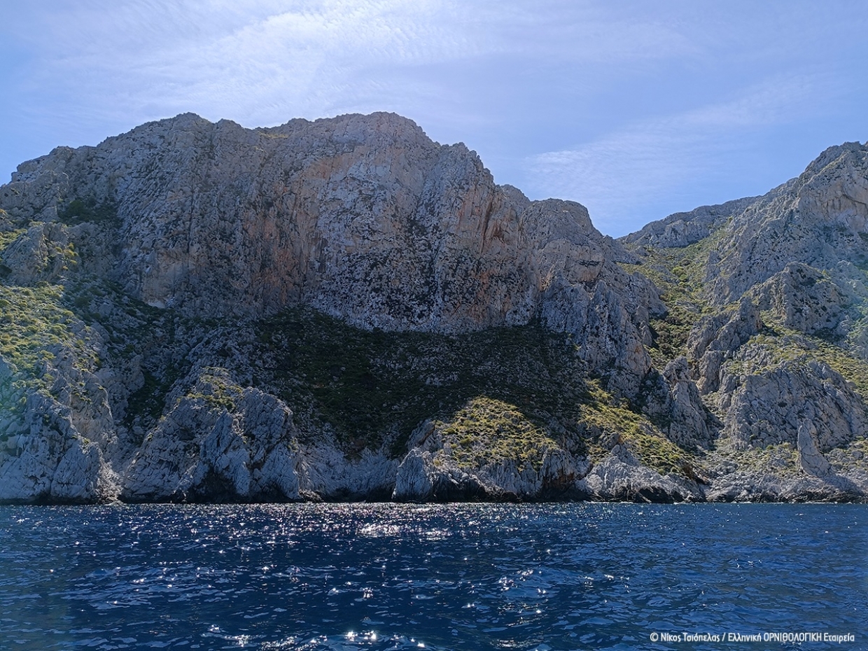 &Omicron; &Sigma;&pi;&iota;&zeta;&alpha;&epsilon;&tau;ό&sigmaf; &sigma;&tau;&omicron;&nu; &Alpha;&rho;&gamma;&omicron;&sigma;&alpha;&rho;&omega;&nu;&iota;&kappa;ό